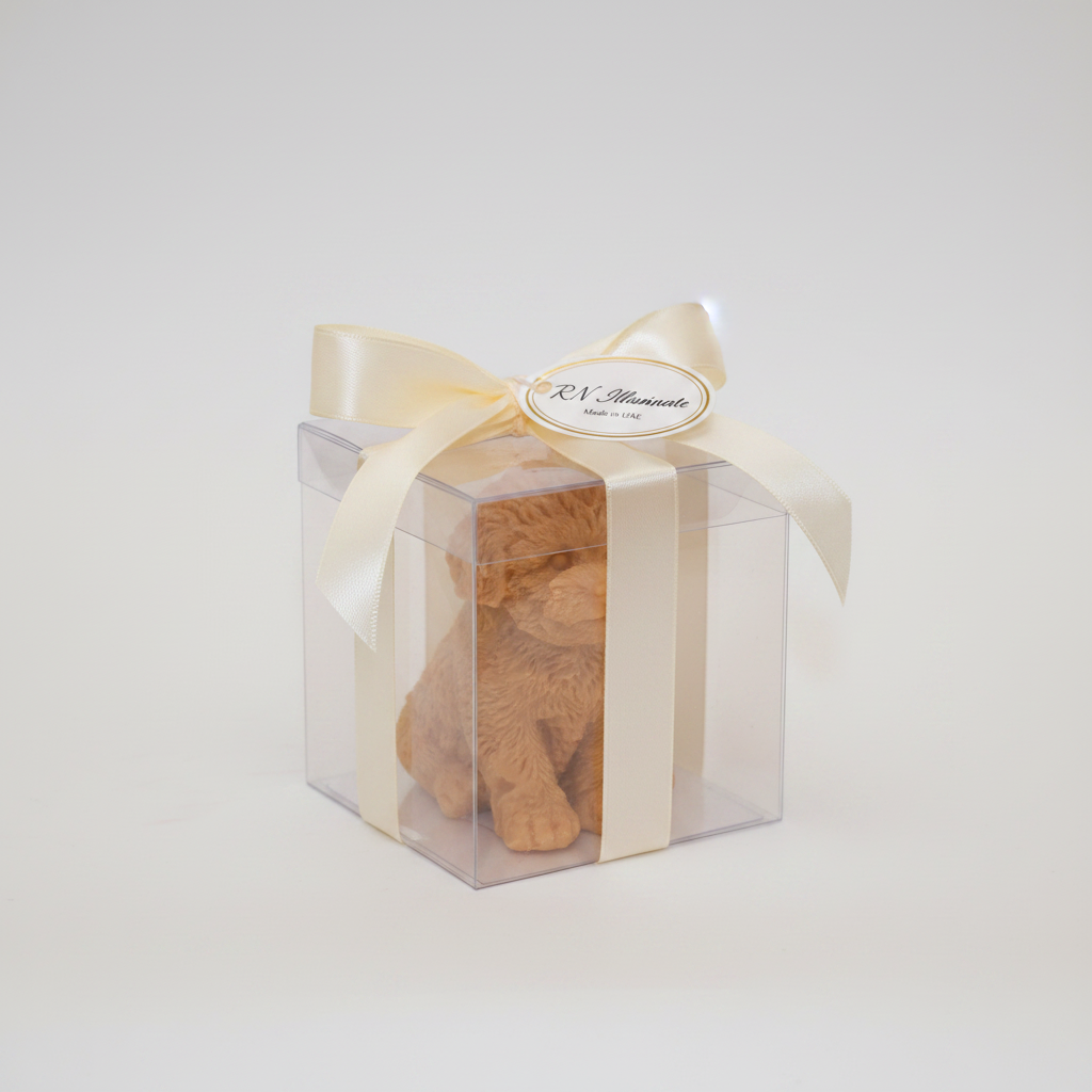 Puppy soy candle in clear gift box with satin ribbon and RN Illuminate label